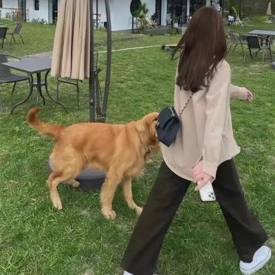 西行纪之集结篇